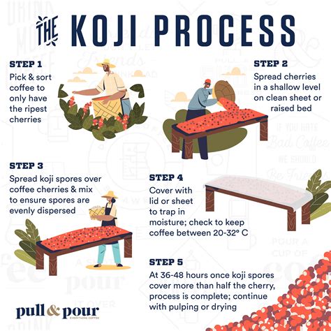 Ko Ji.